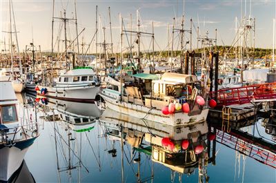 Fischerhafen in Campbell River